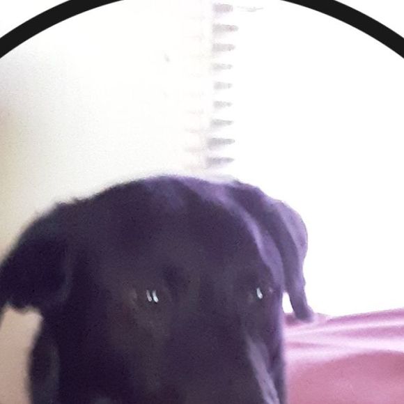 Meet your Posher, Joyce - Picture 1 of 1